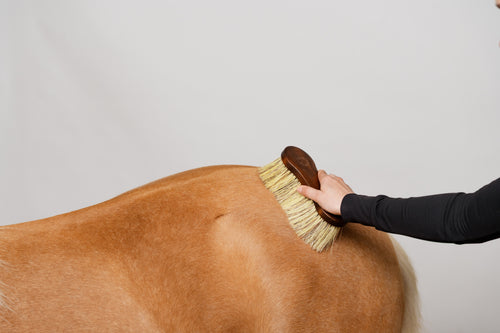 Dandy Tool
